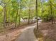 View of a long, paved driveway winding through lush trees leading up to a house at 3518 Travis Ct, Chapel Hill, NC 27516