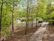 View of a long, paved driveway winding through lush trees leading up to a house at 3518 Travis Ct, Chapel Hill, NC 27516