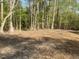 Backyard with mature trees, offering tranquility and privacy, ready for landscaping and outdoor enjoyment at 5875 Green Pine Rd, Cedar Grove, NC 27231