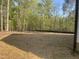 Spacious backyard features a wooded perimeter for privacy and an open lawn area at 5875 Green Pine Rd, Cedar Grove, NC 27231