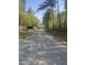 Gravel driveway with wooded area on either side of the road leading to the property at 5875 Green Pine Rd, Cedar Grove, NC 27231