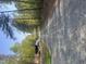 Gravel driveway winding through a lush, wooded landscape at 5875 Green Pine Rd, Cedar Grove, NC 27231