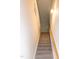 A carpeted staircase with a light fixture and wooden handrail at 104 Mainline Sta, Morrisville, NC 27560