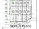 Real estate plan of homes in Sepals Place showing lot dimensions and building footprints at 105 Sepals Pl, Wendell, NC 27591