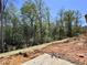 New backyard with trees and exposed red clay soil that needs landscaping at 1073 Fairhaven Dr # 52, Mebane, NC 27302