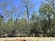 A view of the tall trees that surround the property and provide ample shade at 1073 Fairhaven Dr # 52, Mebane, NC 27302