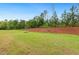 Large backyard with lush green grass and trees, providing a private outdoor retreat at 1116 Ciandra Barn Way, Apex, NC 27523