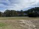 Scenic backyard with scattered bare patches and tree line at 1278 Valley Ct, Zebulon, NC 27597