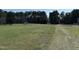 An exterior shot of a grassy lot leading to a small shed surrounded by trees, offering privacy and charm at 1278 Valley Ct, Zebulon, NC 27597