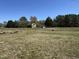 View of the yard, showing another building in the distance at 1278 Valley Ct, Zebulon, NC 27597