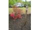 Lush backyard with colorful azaleas, birdhouse, and camper, creating a serene and inviting outdoor space at 136 Scramble Rd, Erwin, NC 28339