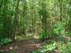 Picture of wooded area behind the property at 136 Scramble Rd, Erwin, NC 28339