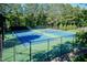Outdoor tennis courts surrounded by mature trees provide recreational amenities for active community members at 212 Mickleson Ridge Dr, Raleigh, NC 27603