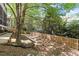 A fenced-in backyard with mature trees and foliage that offers privacy at 2520 Ashley Ct, Raleigh, NC 27607