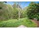 Backyard with green lawn, patio, and lush tree line at 308 Apricot Cir, Morrisville, NC 27560
