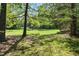 Wooded backyard with mature trees and lush grass, creating a serene natural setting at 378 E Raleigh Ave, Liberty, NC 27298