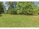 Spacious backyard with lush grass and mature trees, offering plenty of space for outdoor activities and recreation at 378 E Raleigh Ave, Liberty, NC 27298