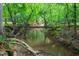 A tranquil stream flowing beneath a small wooden bridge surrounded by lush greenery and foliage at 417 Swans Mill Xing, Raleigh, NC 27614