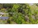 Lush aerial shot capturing the canopy of trees surrounding the landscape at 5064 Murrell Dr, Oxford, NC 27565