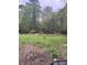 Lush yard surrounded by dense trees at 108 Virgil Rd, Durham, NC 27703