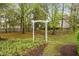 A quiet backyard with an arbor surrounded by grass, trees, and mulch at 1500 St Andrews Dr, Mebane, NC 27302