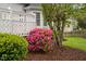 A blooming shrub stands out in this manicured landscape alongside a white house with a wooden deck at 1500 St Andrews Dr, Mebane, NC 27302