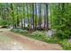 Aerial view of a home surrounded by lush greenery and colorful azaleas at 2001 Virginia Dare Pl, Raleigh, NC 27610