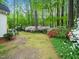 Lush backyard with greenery, mature trees, and colorful flowering shrubs, with a wood deck and a house at 2001 Virginia Dare Pl, Raleigh, NC 27610