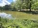 Picturesque lake view surrounded by lush trees and greenery at 208 Clark Lake Rd, Durham, NC 27707