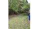 Scenic backyard featuring mature trees and a tranquil setting at 2305 Summit Dr, Hillsborough, NC 27278