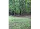 Wooded backyard area with lush trees providing a private, nature-filled space at 2305 Summit Dr, Hillsborough, NC 27278