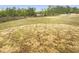 Expansive backyard featuring a lush green lawn at 32 Bellini Dr, Angier, NC 27501