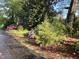 Picturesque shot of the property's curb appeal, with mature trees and a variety of blooming shrubs at 4159 Princeton Kenly Road, Kenly, NC 27542