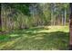 Large, well-maintained backyard with lush greenery, providing the perfect space for outdoor activities at 4290 Sustain Cir, Franklinton, NC 27525
