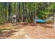 Spacious backyard featuring a playhouse and hammock for outdoor enjoyment and relaxation at 4290 Sustain Cir, Franklinton, NC 27525