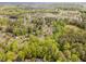 Aerial view of the neighborhood showcasing homes and the surrounding trees at 508 Baygall Rd, Holly Springs, NC 27540