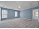 Bedroom with blue walls, carpet, three large windows, and open doorway leading to hallway at 709 Basil Dr, Durham, NC 27713