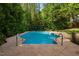 A backyard pool surrounded by a concrete patio and lush greenery at 7433 Deer Track Dr, Raleigh, NC 27613