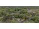 Areal view of cozy home with mature trees and green surroundings at 905 David St, Henderson, NC 27536