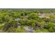 An aerial view reveals a quiet neighborhood shaded by mature trees at 905 David St, Henderson, NC 27536