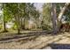 Expansive wooded backyard featuring mature trees and a natural landscape, ready for outdoor enjoyment at 1105 W Lenoir St, Raleigh, NC 27603