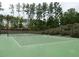 A well-maintained community tennis court with a backdrop of lush green trees and landscaping at 416 Glenview Ln, Durham, NC 27703