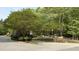 Street view of neighborhood entrance surrounded by lush trees and manicured greenery at 572 W Walker Woods Ln, Clayton, NC 27527