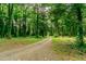 Secluded property featuring a long, winding gravel driveway through a dense forest at 6238 Old 421 Rd, Liberty, NC 27298