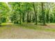 Picturesque view of land showcasing mature trees and serene nature perfect for development at 6238 Old 421 Rd, Liberty, NC 27298