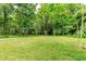 Lush grassy yard offers serene privacy with mature trees at 6238 Old 421 Rd, Liberty, NC 27298