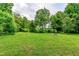 Expansive grassy yard, framed by mature trees, offers ample space and a rustic firepit at 6238 Old 421 Rd, Liberty, NC 27298