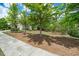 Landscaped front yard with lush greenery, mulch, and mature trees shading the property at 833 Gaston Manor Dr, Durham, NC 27703