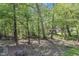 Private wooded backyard with lush green foliage providing peaceful seclusion at 9005 River Estates Dr, Knightdale, NC 27545