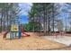 Community playground featuring colorful play equipment and a picnic area, surrounded by mature trees at 9005 River Estates Dr, Knightdale, NC 27545
